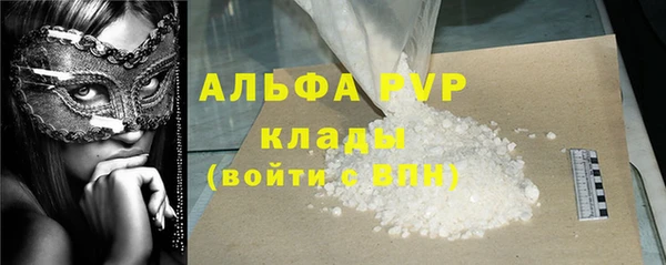 трава Белокуриха