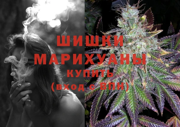 крисы Ачинск